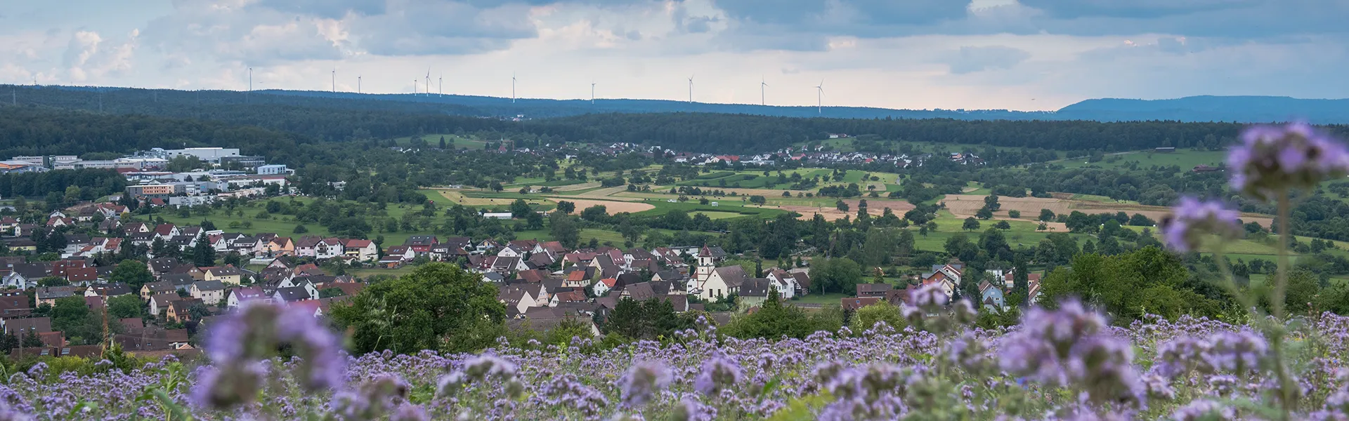 DSC_9559_midi - Bildrechte Gemeinde Birkenfeld, Fotograf Lionel Bizien